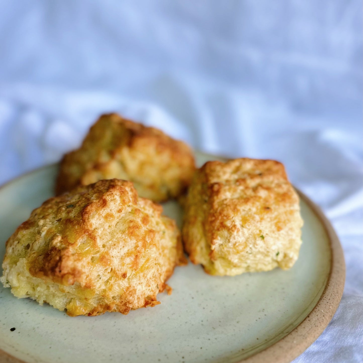Cheese & Herb Scones (box of 6)